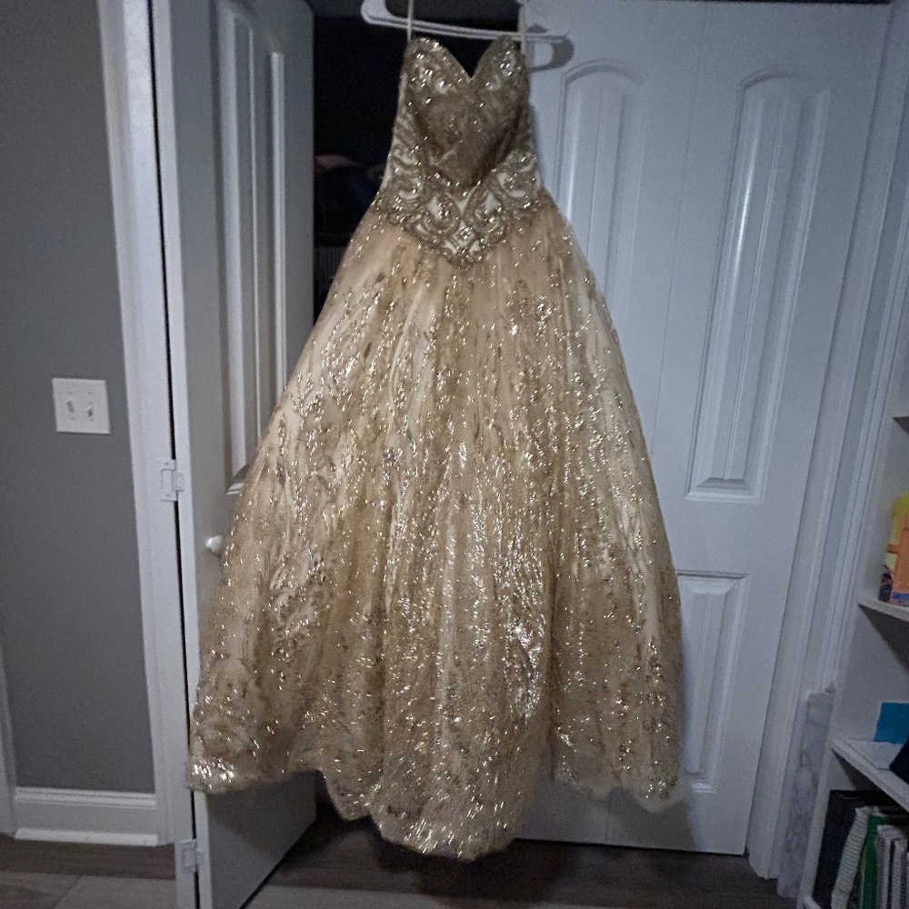 Dancing Queen - Picture 2 of 5